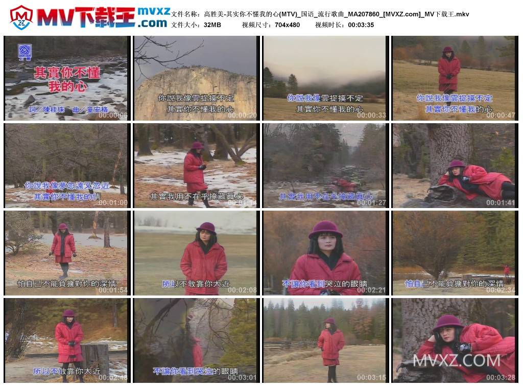 高胜美-其实你不懂我的心(MTV)_国语_流行歌曲_MA207860